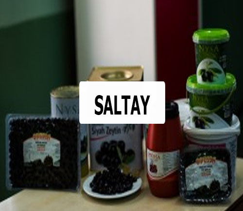 SALTAY